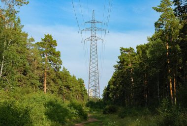 Orman, elektrik hatlarını çevrelemiş. Bulutların ve mavi gökyüzünün arka planına doğru ilerliyorlar.
