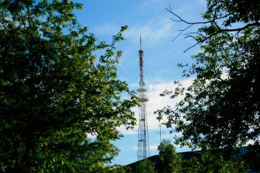 Bir televizyon kulesinin arka planında ağaç yaprakları