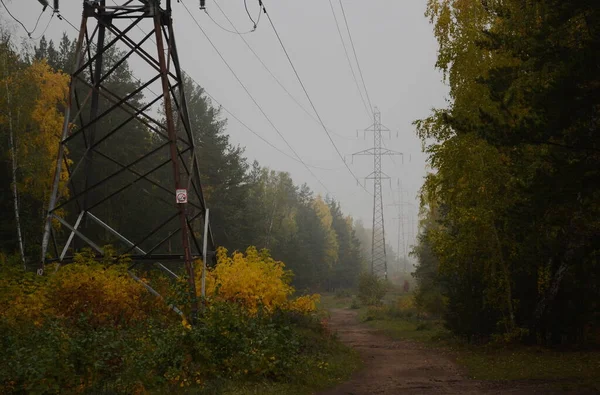 Jesienią Mgła Ściema Jesienny Las Linie Energetyczne Kolor Żółtego Liścia — Zdjęcie stockowe