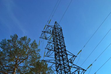 Elektrik hattı, ağaç, çam, yüksek, mavi gökyüzü