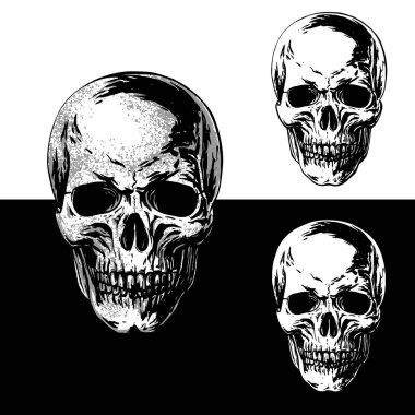 Beyaz ve siyah arkaplanda izole edilmiş yarım tonlu ve birçok detayı olan bir kafatasının gerçekçi siyah ve beyaz vektör çizimi