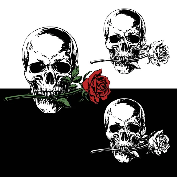 Ilustración Realista Vectorial Blanco Negro Cráneo Con Una Rosa Los — Archivo Imágenes Vectoriales