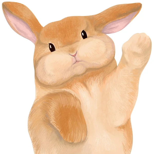 一只可爱的毛茸茸的小兔子向他的爪子挥手致意 它被白色的背景隔离了 — 图库照片