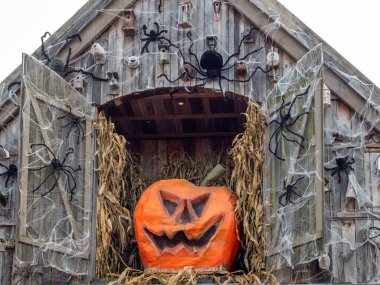 Kamışın üzerinde çok renkli balkabakları. Cadılar Bayramı