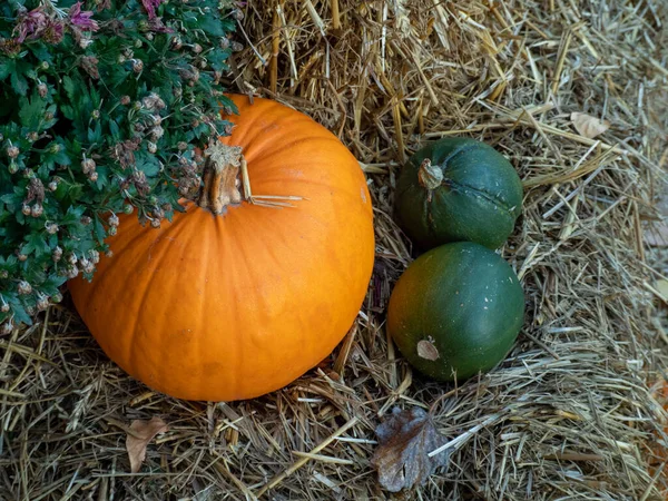 Bunte Kürbisse auf einem Strohhalm. Halloween — Stockfoto