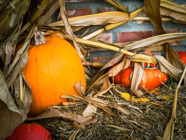 Bunte Kürbisse auf einem Strohhalm. Halloween — Stockfoto