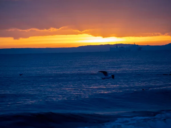 Capa marinha pitoresca durante o pôr-do-sol, reflexo brilhante dourado da luz solar no mar. — Fotografia de Stock