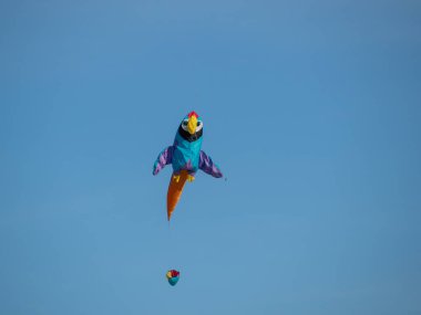 Mavi gökyüzünde yüzen uçurtmalar, uçurtma festivali.