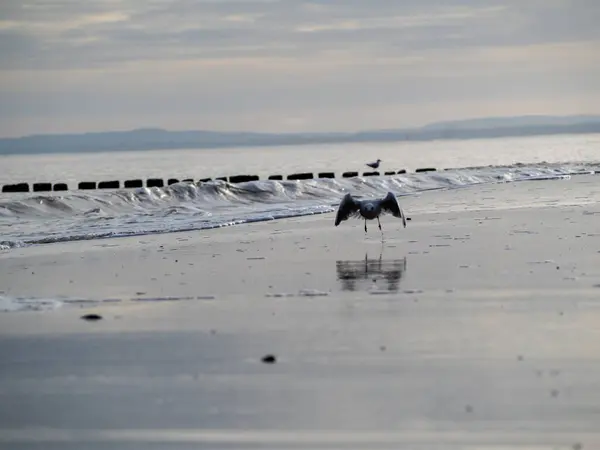 Fala z białą piankową plażą wybrzeża. Piaszczysty brzeg. — Zdjęcie stockowe