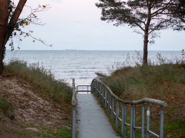 Trägång på stranden — Stockfoto