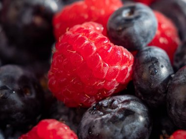 Arka plan olarak taze karışık böğürtlen. Yaban mersini ve ahududu.