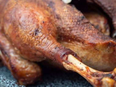 Bulanık arkaplanı olan kazı kapat..