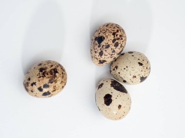 Quail eggs isolated. Quail eggs isolated on white background.
