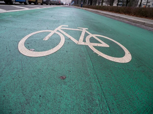 Yeşil bisiklet yolu. Bisikletçiler için yol.