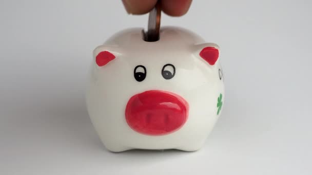 Uang dimasukkan ke dalam piggy bank Piggy dengan uang. — Stok Video