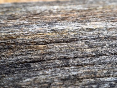 Ahşap arka plan. Eski ahşabın arka planı ve yapısı