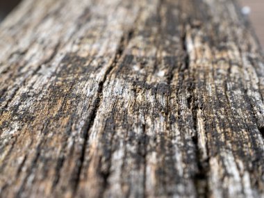 Ahşap arka plan. Eski ahşabın arka planı ve yapısı