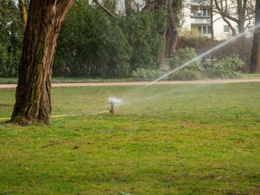 Parktaki sulama sistemi. Sulama sistemi