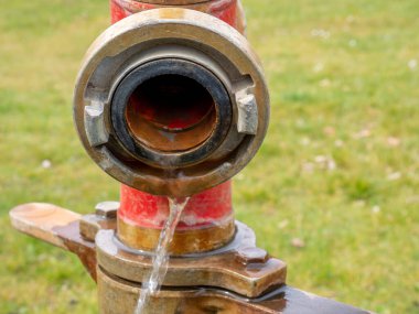 Parkta yangın muslukları var. Sulama sistemi