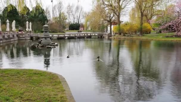 Parktaki Gölet Güzel Bir Gölet — Stok video