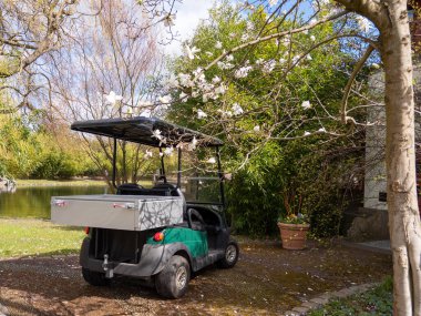 Golf arabası çiçek bahçesinin yanında park edilmiştir. Elektrikli araba göletin yanında.