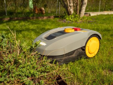 otomatik çim biçme robot çim, çim üzerinde taşır. Yukarıdan, kopya alanı yan görünüm.