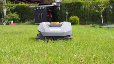 Otomatik çim biçme makinesi robotu çimlerin üzerinde hareket ediyor, 
