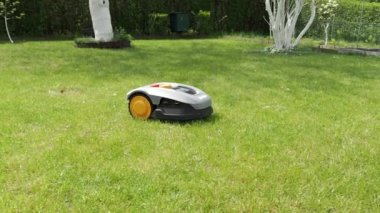 Otomatik çim biçme makinesi robotu çimlerin üzerinde hareket ediyor, 