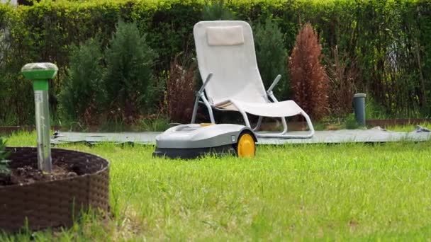 Automatic Lawn Mower Robot Moves Grass — стоковое видео