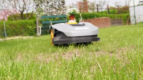 Automatyczny Robot Kosiarki Porusza Się Trawie — Wideo stockowe