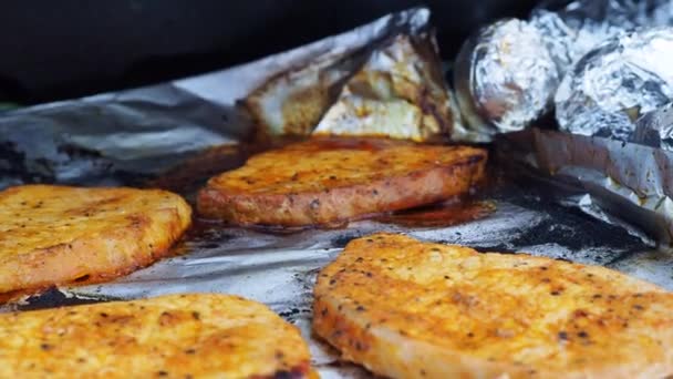不锈钢气炉烧烤烤肉 — 图库视频影像