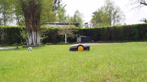 Automatic lawn mower robot moves on the grass, — Stock Video