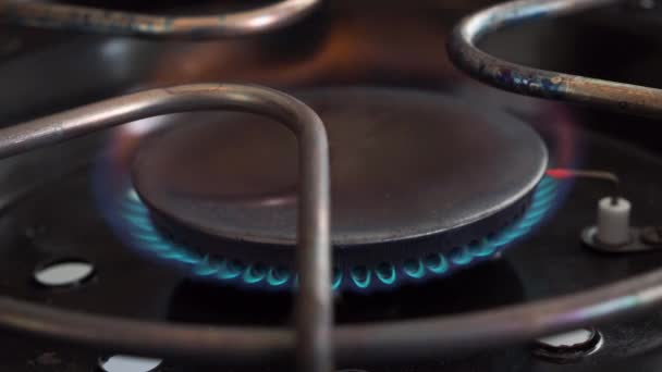 Gas hob. Gas stove burner. Ignited gas burner. — Stockvideo