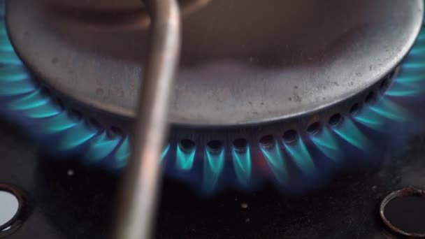 Gas hob. Gas stove burner. Ignited gas burner. — Vídeo de stock