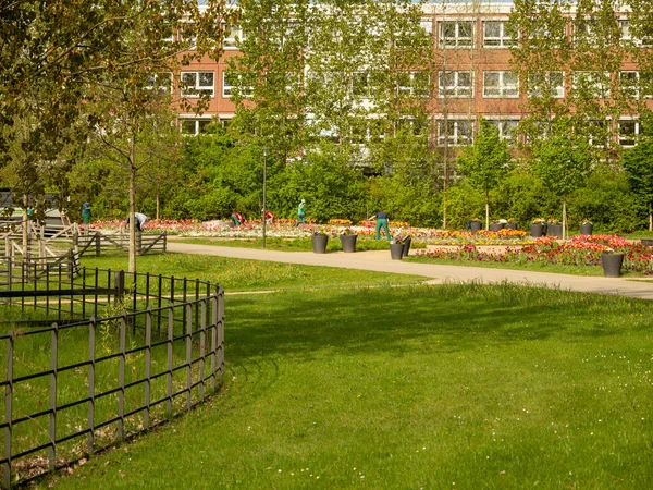 Gardeners Take Care Flower Beds Park — Zdjęcie stockowe