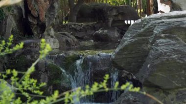 Şelale. Yükseklerden hızla düşen bir su akıntısı.