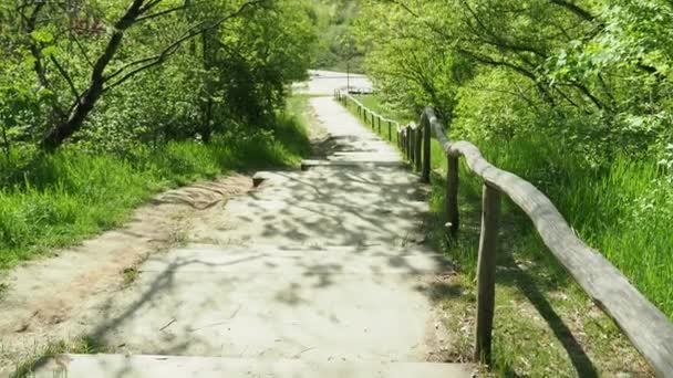 Escalier Extérieur Bois Montant Colline — Video