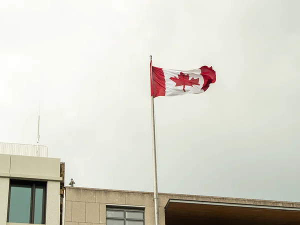 Drapeau Canada Sur Bâtiment Drapeau Canada Gros Plan — Photo