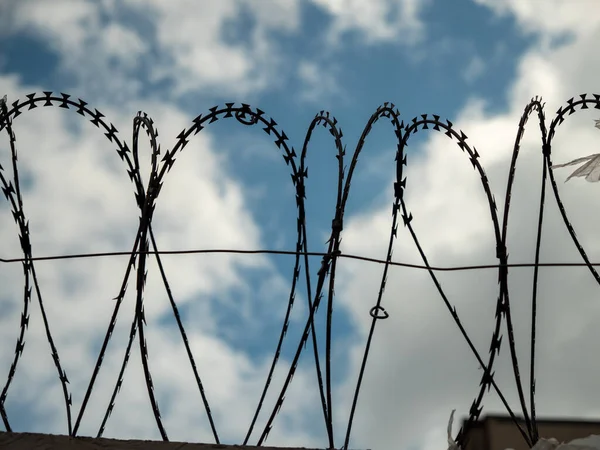 Barbed wire. Barbed wire against the sky.