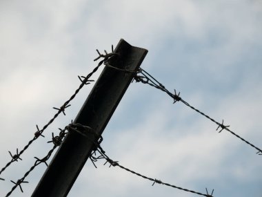 Gergin dikenli teller. Dikenli tellerle..