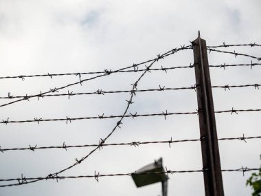 Gergin dikenli teller. Dikenli tellerle..