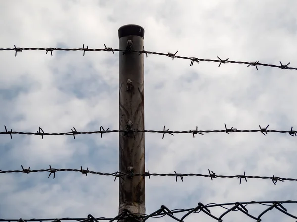 Stretched barbed wire. Fence with barbed wire.