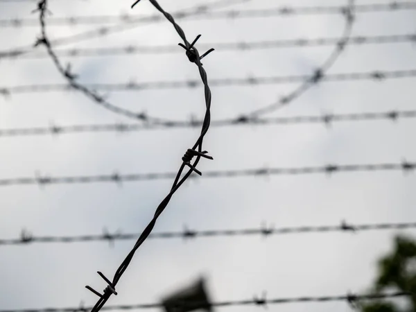 Stretched Barbed Wire Fence Barbed Wire — Stock Photo, Image