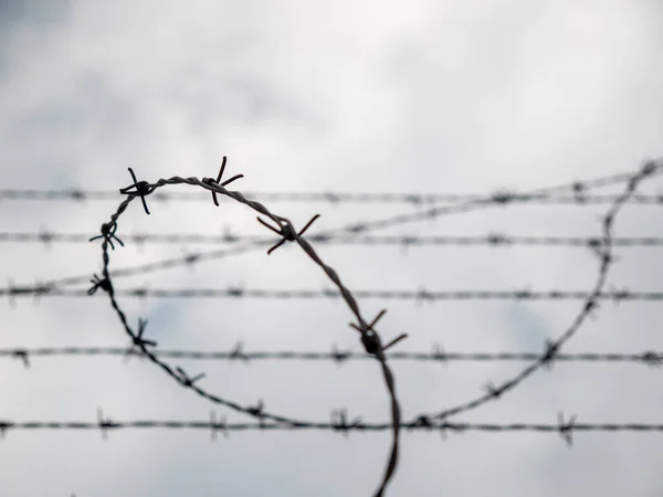 Stretched barbed wire. Fence with barbed wire.