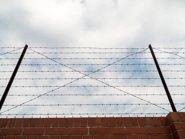 Stretched barbed wire. Fence with barbed wire.