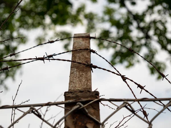 Stretched barbed wire. Fence with barbed wire.