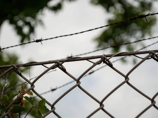 Stretched barbed wire. Fence with barbed wire.