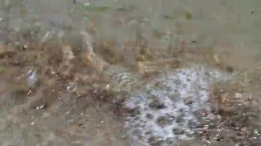 Su, deniz kumu üzerinde yuvarlanıyor. Yüksek kalite 4k görüntü