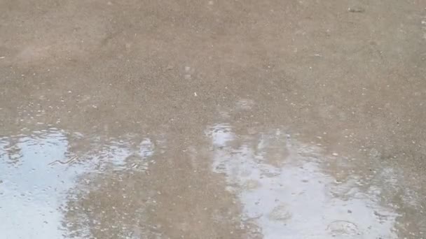 雨滴落在潮湿的人行道上 雨天多云 高质量的4K镜头 — 图库视频影像