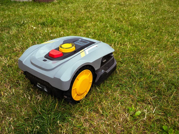 Robot Lawnmower Electronic Lawn Mower Mows Grass — Stock Photo, Image